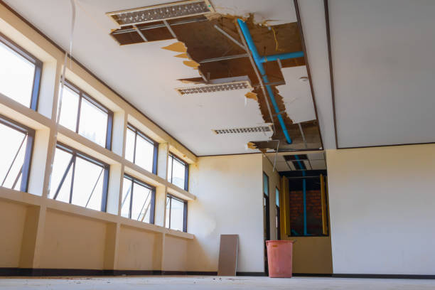 Best Residential water damage restoration  in Juno Beach, FL