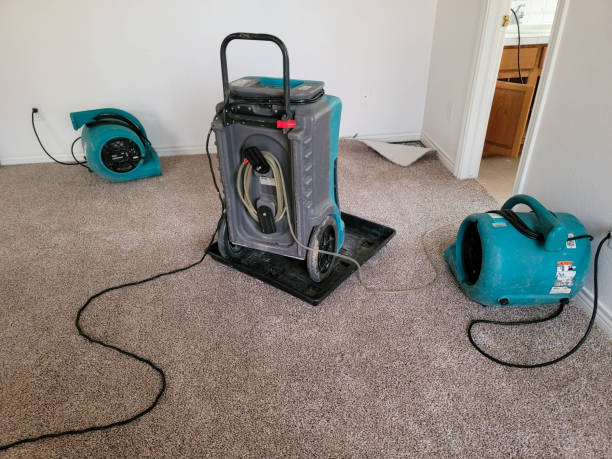  Juno Beach, FL Water damage restoration Pros