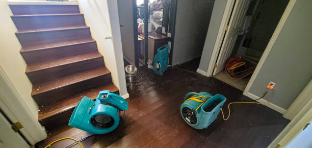 Juno Beach, FL Water damage restoration Pros