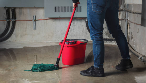 Best Emergency water damage restoration  in Juno Beach, FL