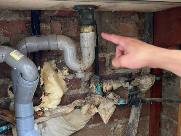 Best Water damage restoration process  in Juno Beach, FL