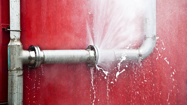 Best Water damage restoration cost  in Juno Beach, FL