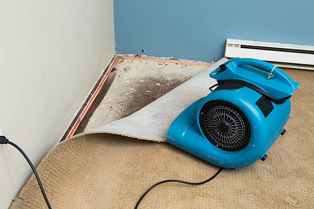 Best Water damage restoration experts  in Juno Beach, FL